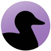 Digital Developer- Wordpress